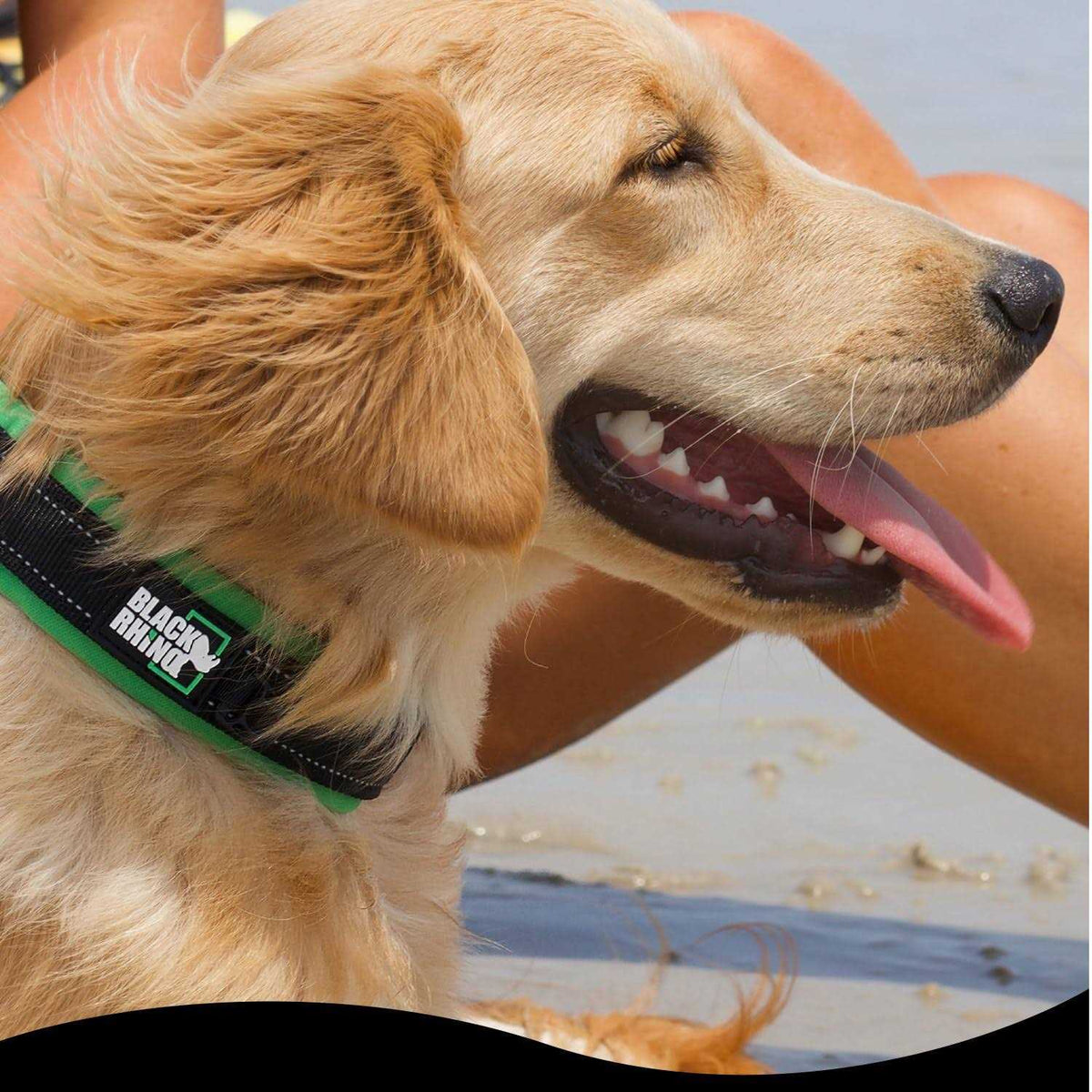 Neoprene Padded Dog Collar J57583
