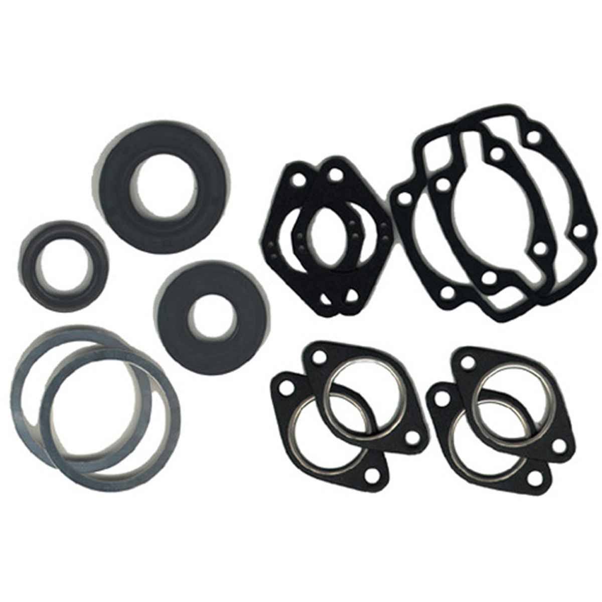 Professional Gasket Set with Oil Seals X8076
