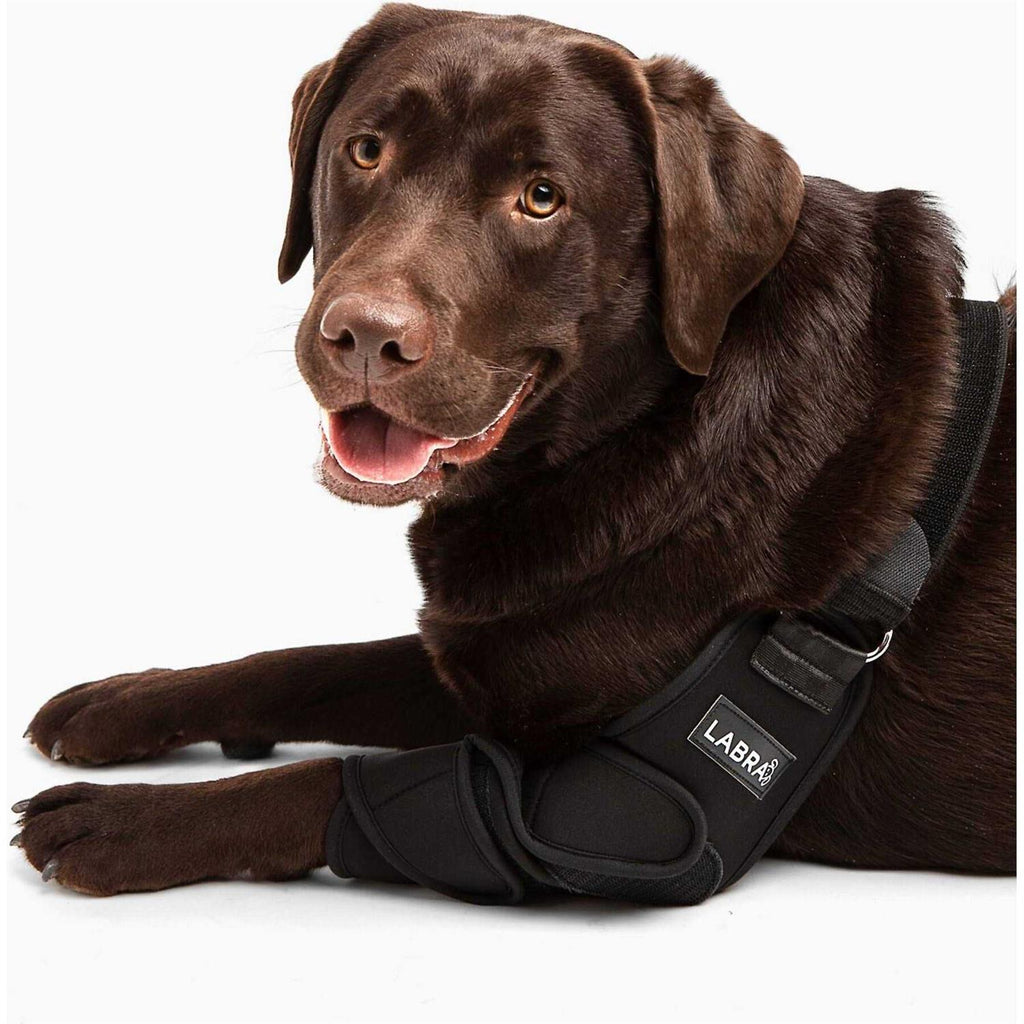 Dog Shoulder Elbow Brace Leg Wrap M523