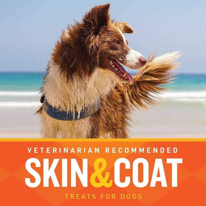 Skin & Coat Soft Chews S9918
