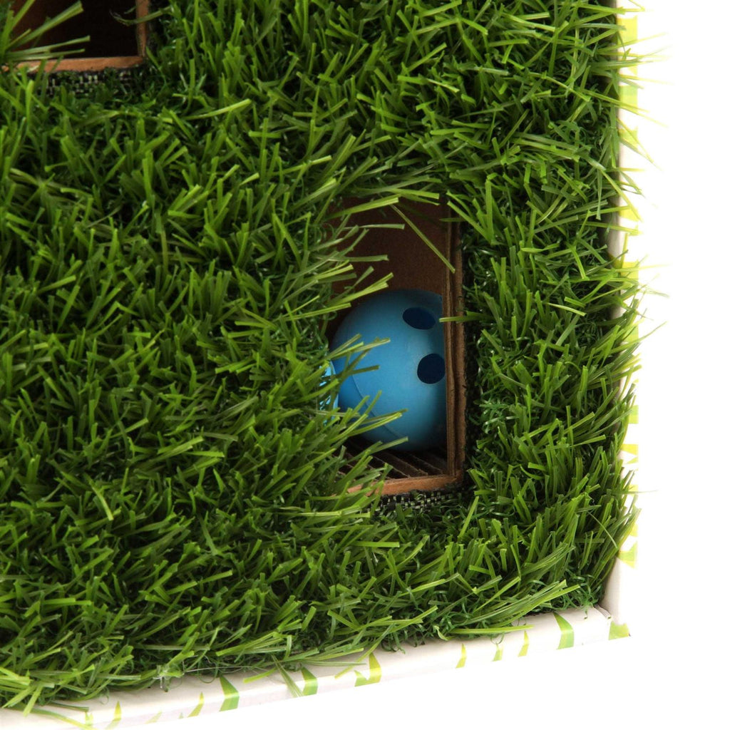 Grass Patch Cat Toy I4268