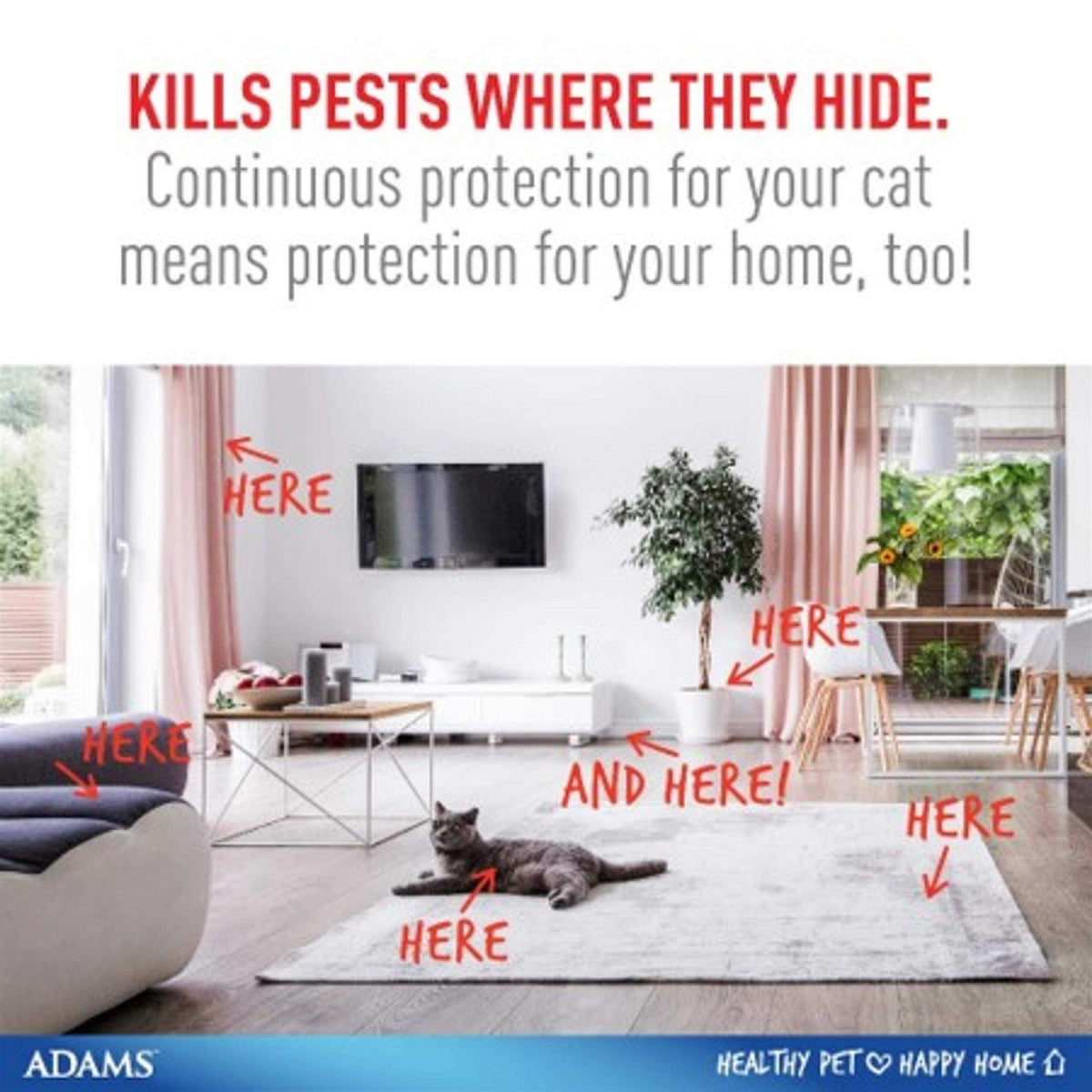 Flea and Tick Spray for Cats X785281
