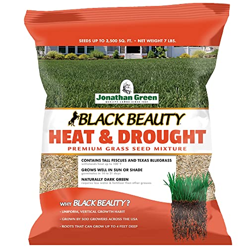 Black Beauty Heat & Drought Resistant Grass Seed (7 lb) O330237