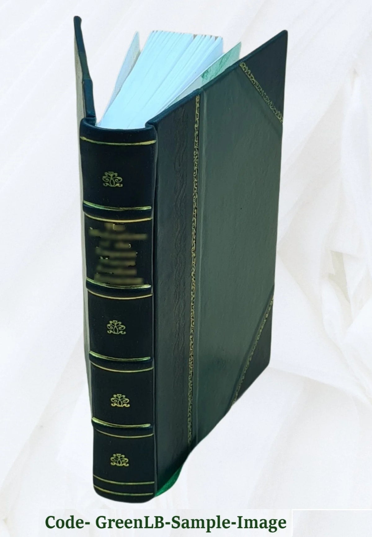 Leather Bound Book W778423
