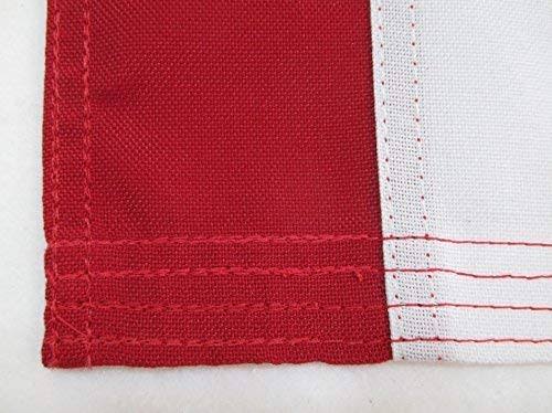 Heavy Duty 4x6 2-Ply Polyester US Flag N46606