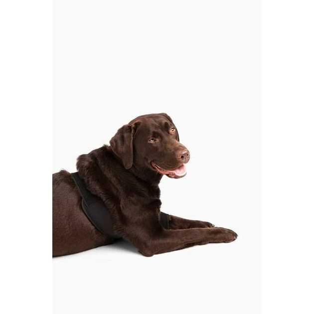 Dog Shoulder Elbow Brace Leg Wrap M523
