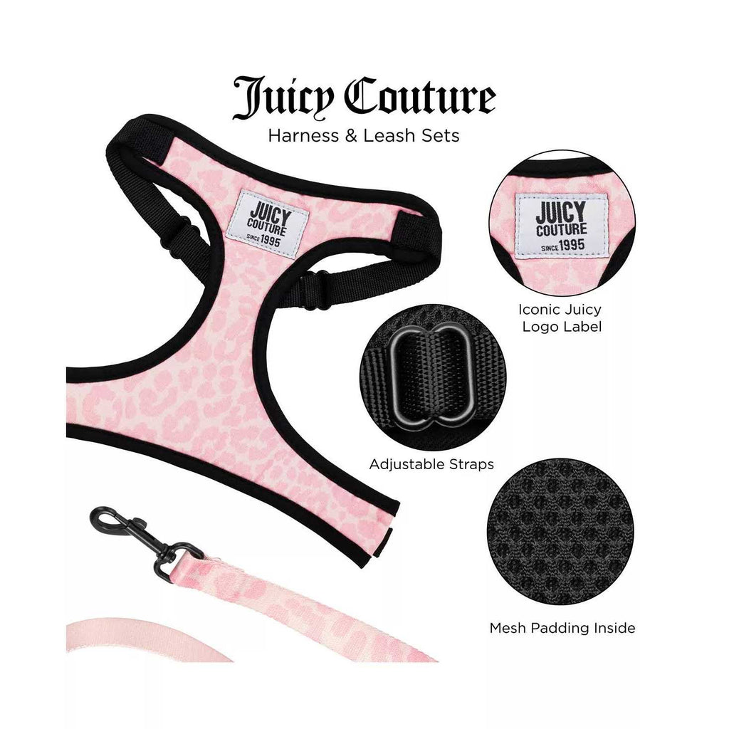 Harness & Leash Set G605111