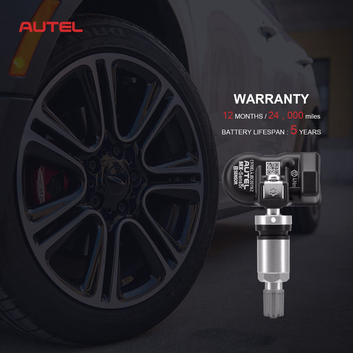 TPMS Sensor 315MHz+433MHz 2 in 1 Dual Frequency Tire Pressure Sensor Sets of 2 (Metal Valves) P191