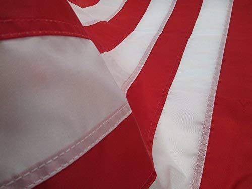 Heavy Duty 4x6 2-Ply Polyester US Flag N46606