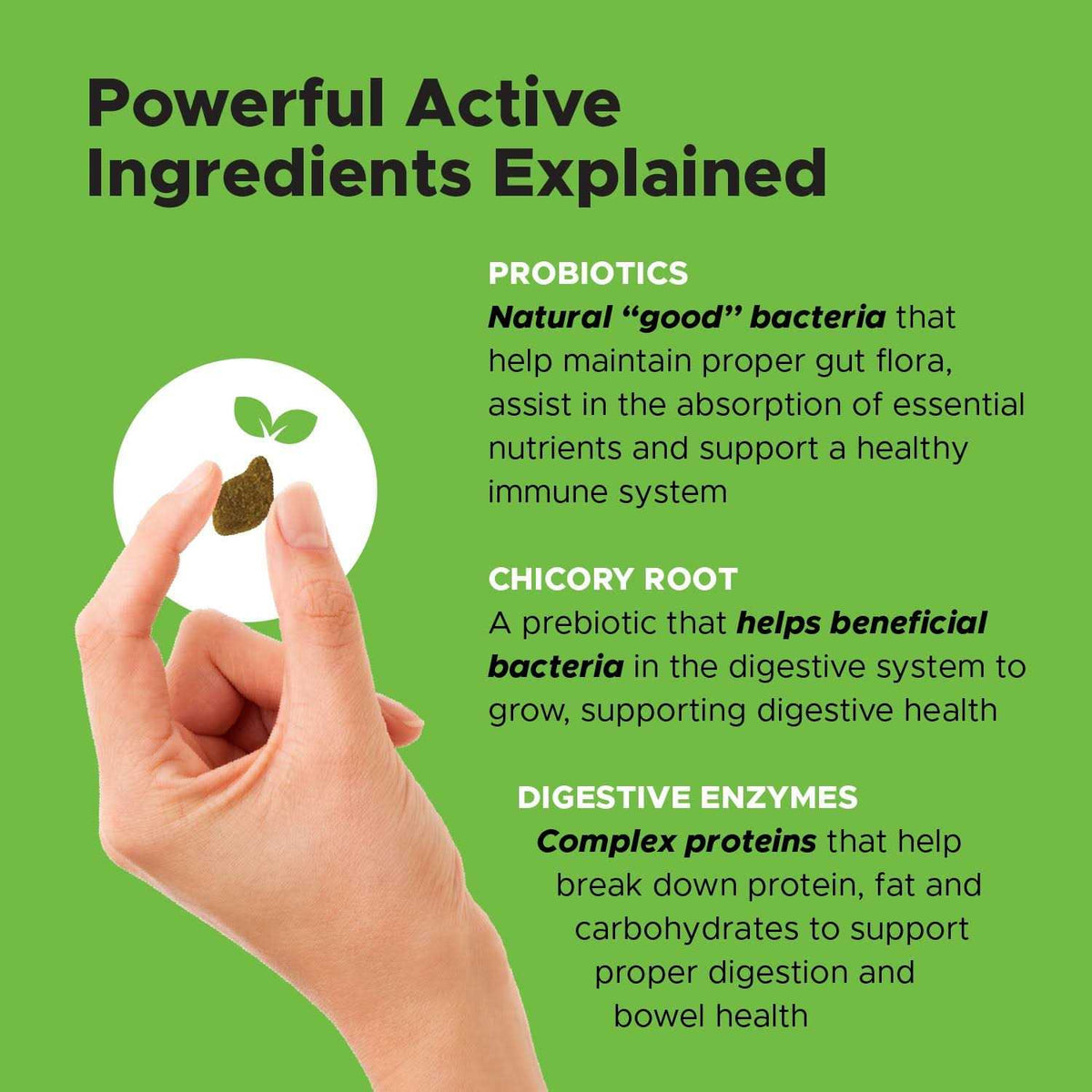 Probiotics for Dogs Digestive Enzymes Q301979