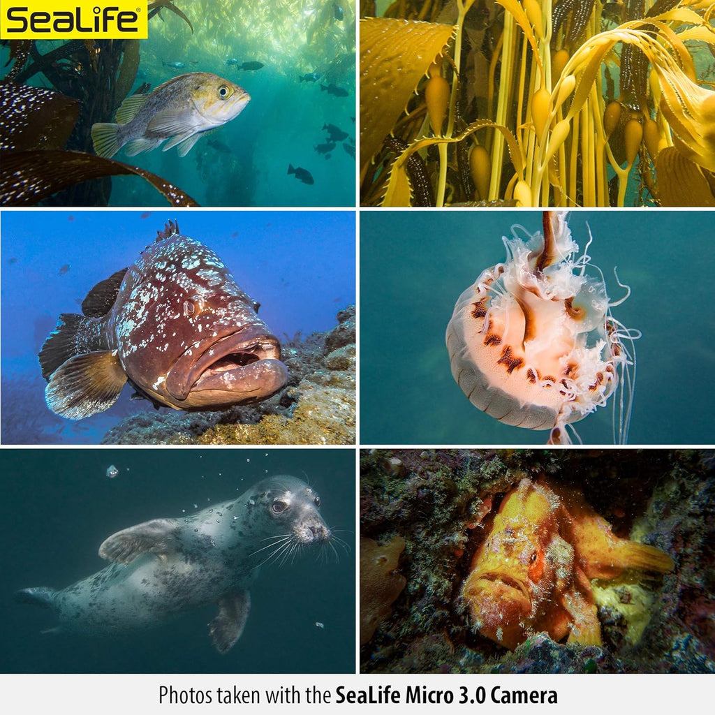 Underwater Camera & Dual Light Set L9447