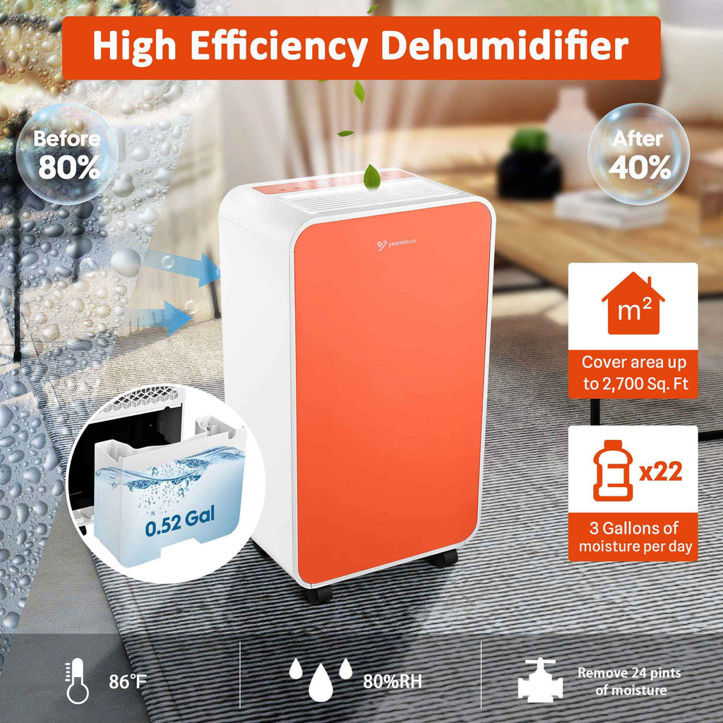 24 Pint Portable Dehumidifier with Drain Hose U424