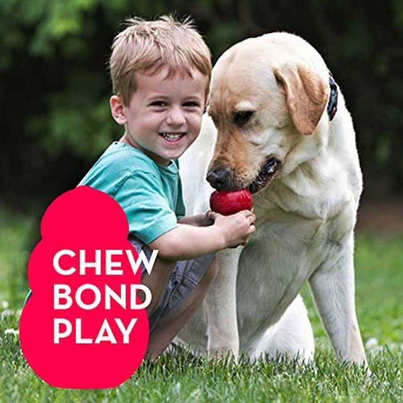 21 Pack Small Dog Chew Toys with Rope Toys Q5841