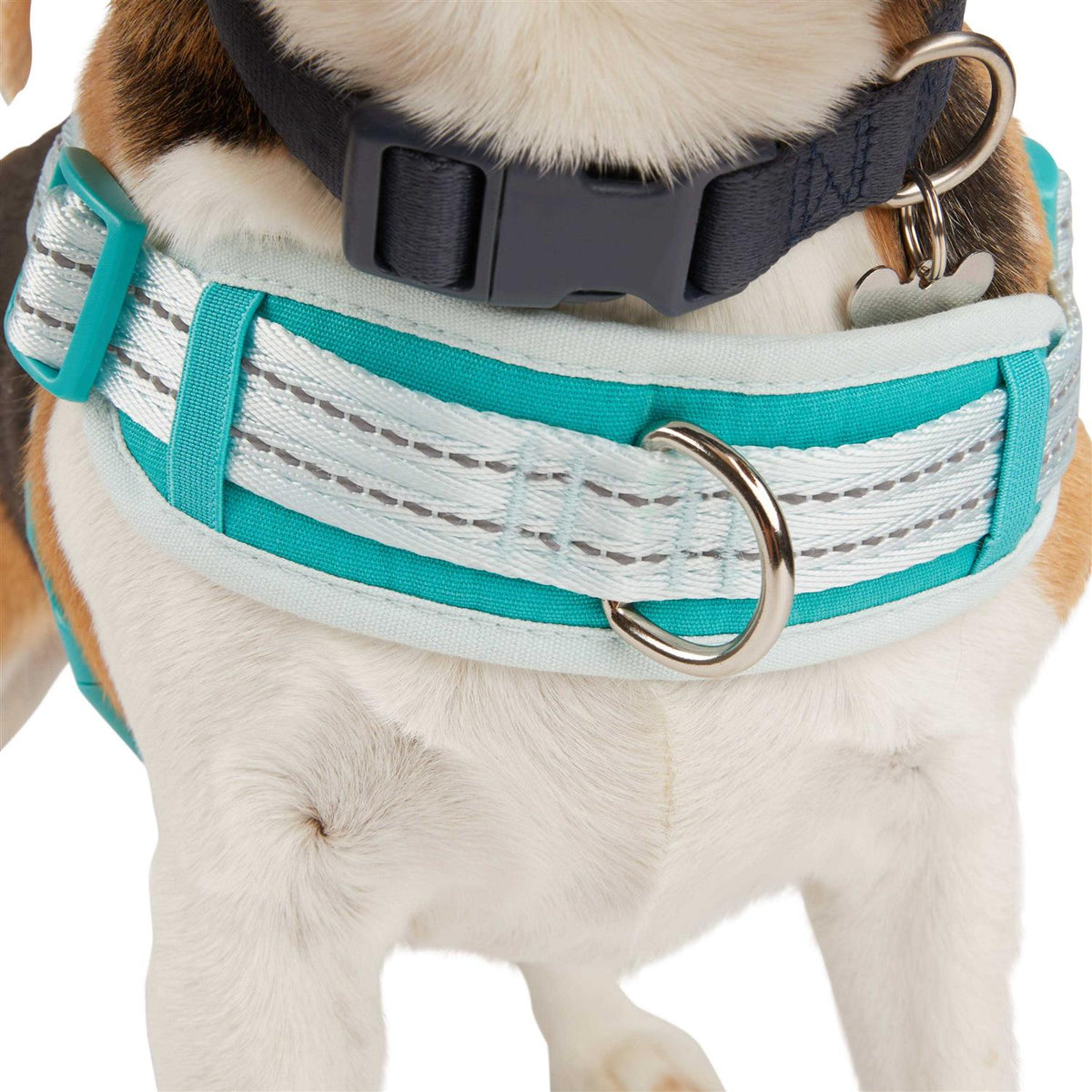 Easy On Training Dog Harness X939716