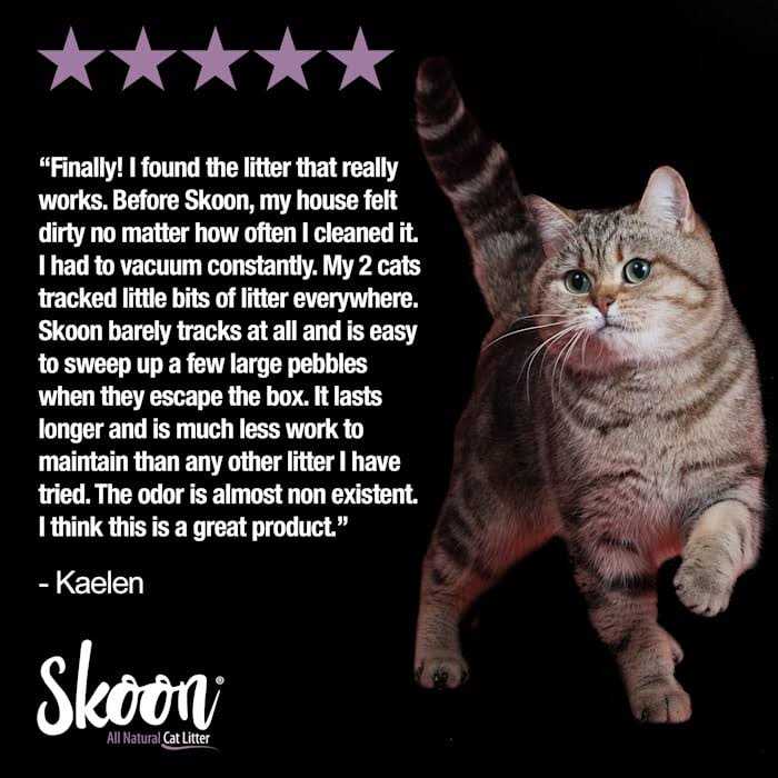 All-Natural Light-Weight Non-Clumping Cat Litter X8280