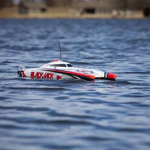Blackjack 24" Catamaran Brushless RTR D523