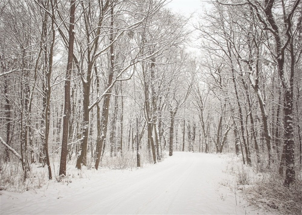 7x5ft Christmas Backdrop Snow Covered Landscape Photography Background B8748