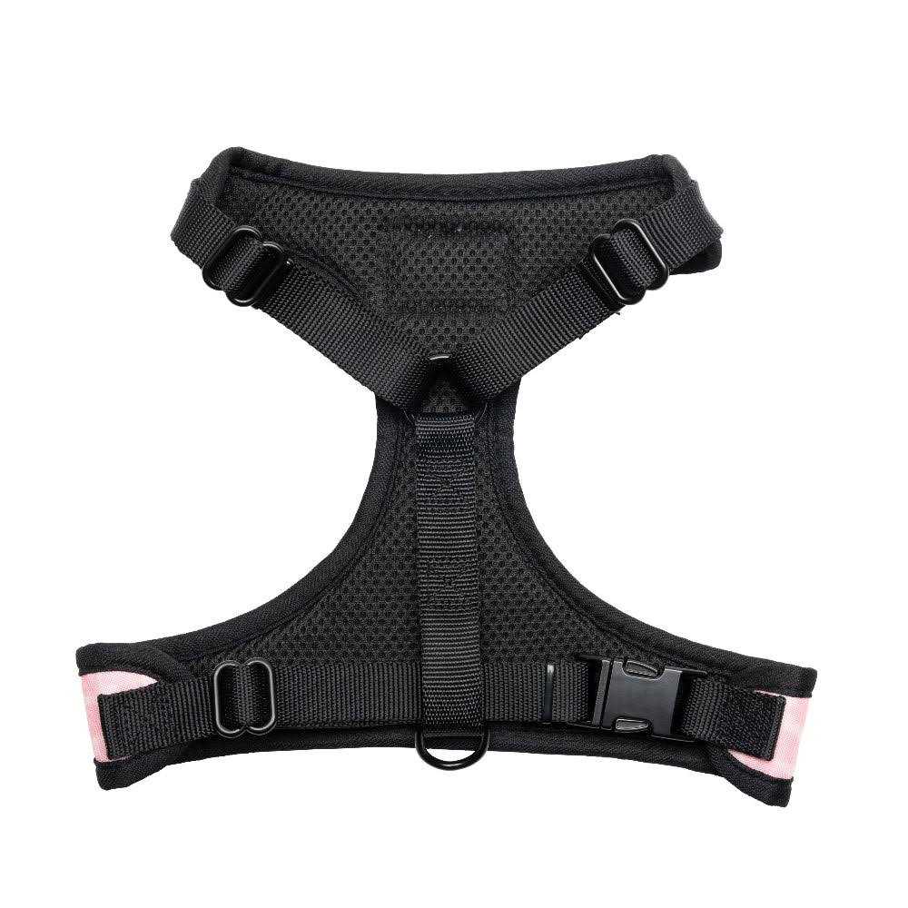 Harness & Leash Set G605111