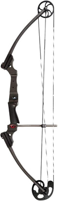 Lightweight Right Handed Compound Bow with Adjustable Draw Weight and Draw Length T2313