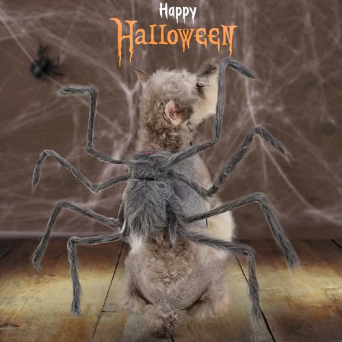 Grey and Black 8 Legs Large Dog Cat Costume G4744