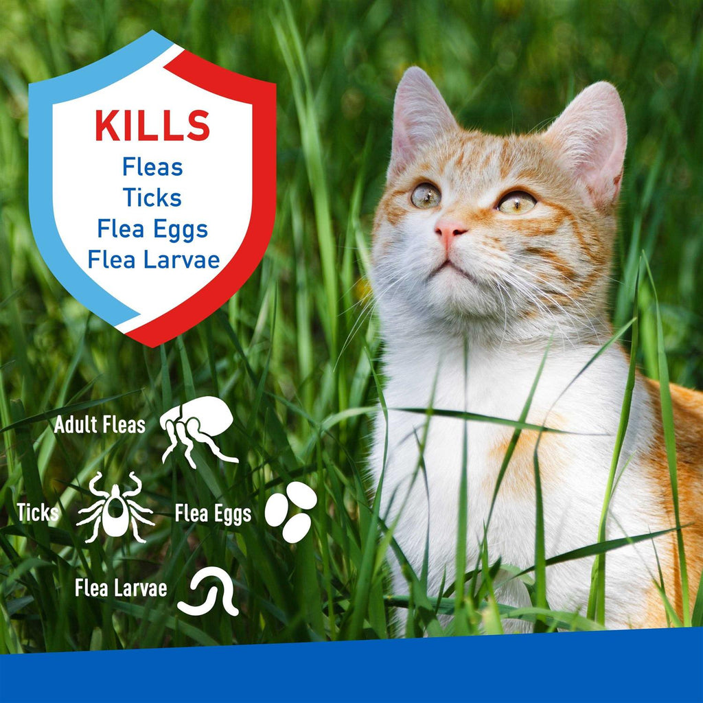Flea and Tick Spray for Cats X785281