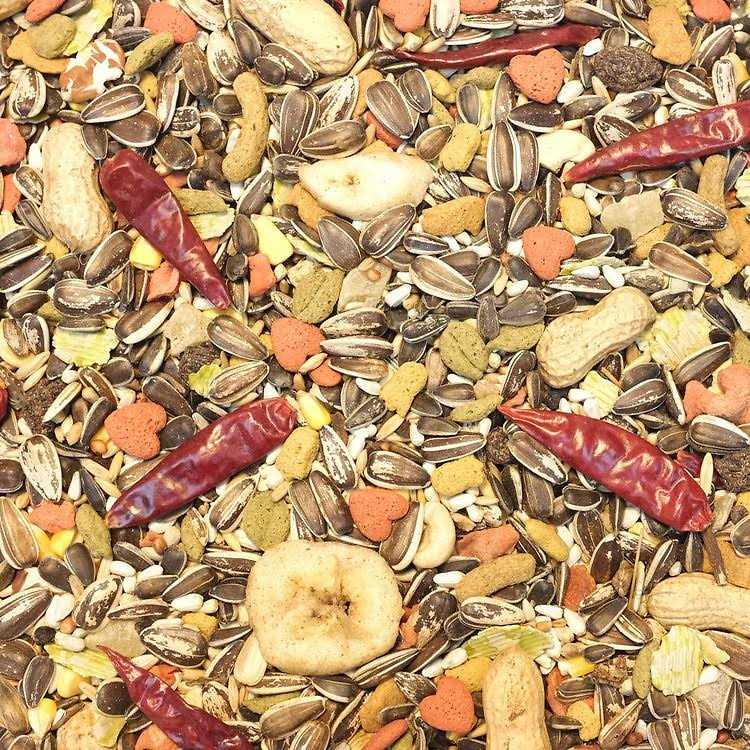 Parrot Food D459089