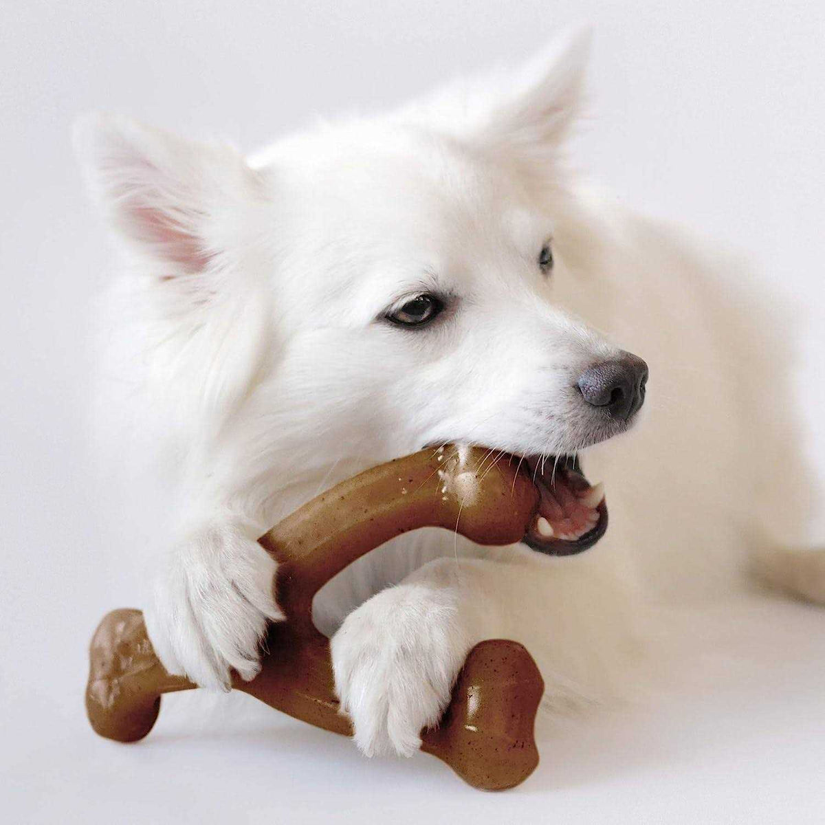 Wishbone Dog Chew S9659