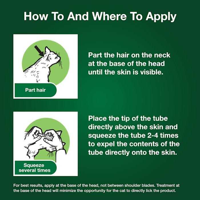 Cat Flea Prevention & Treatment H544