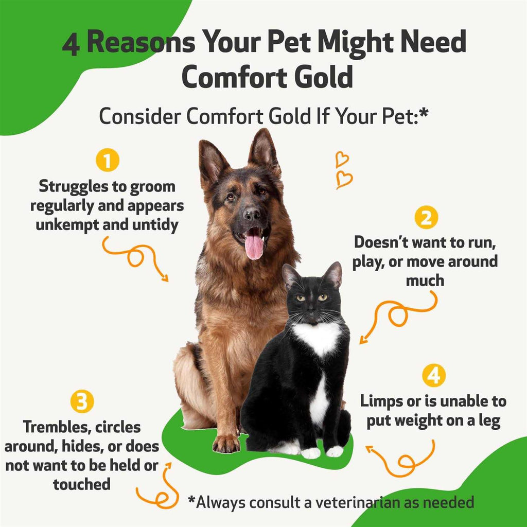 Comfort Gold for Cats V19862