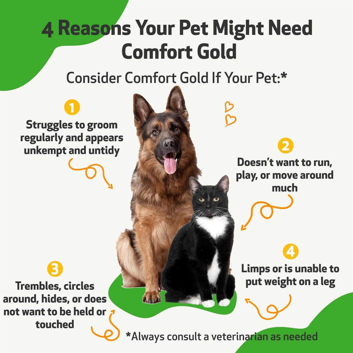 Comfort Gold for Cats V19862