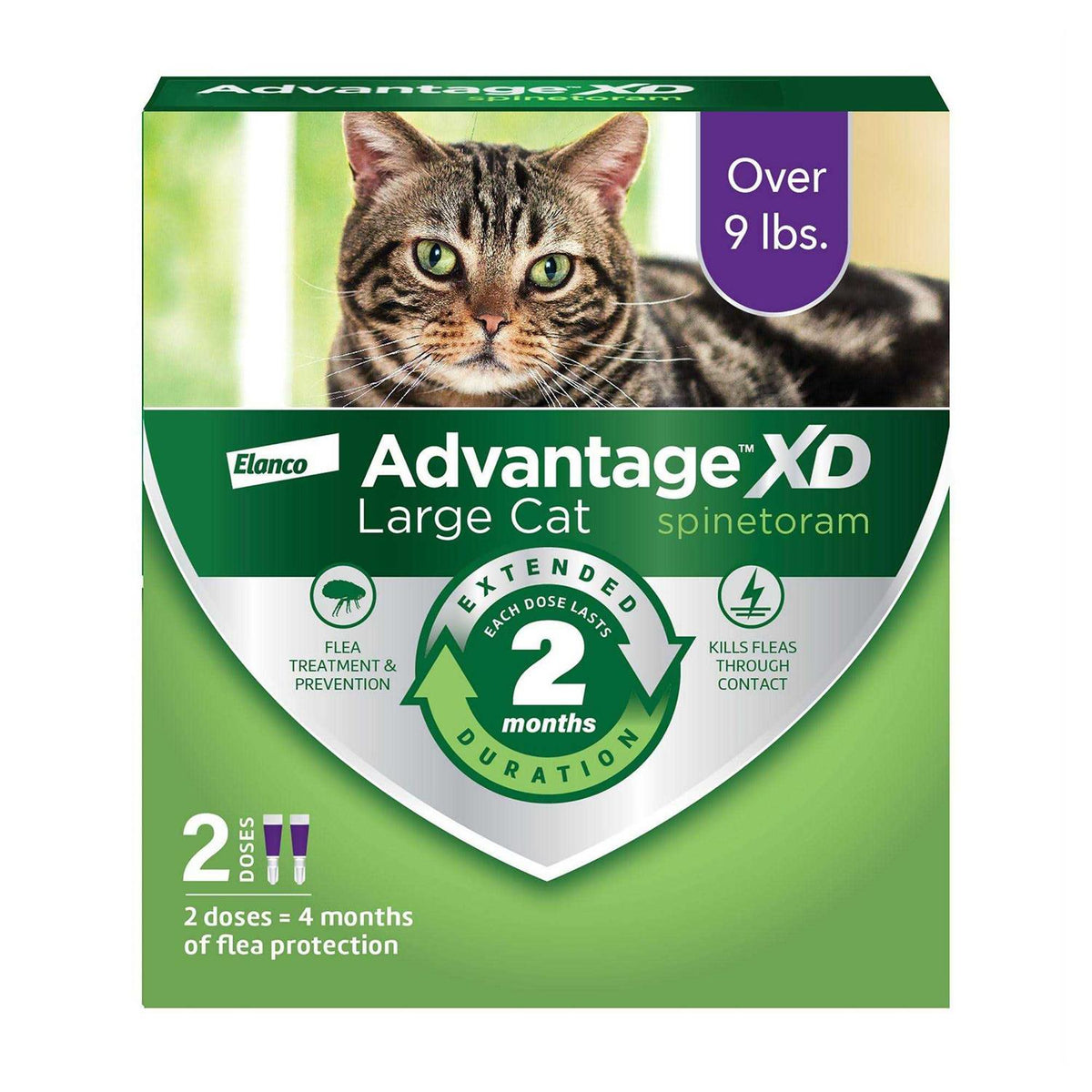 Cat Flea Prevention & Treatment H544