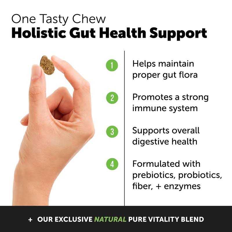 Probiotics for Dogs Digestive Enzymes Q301979