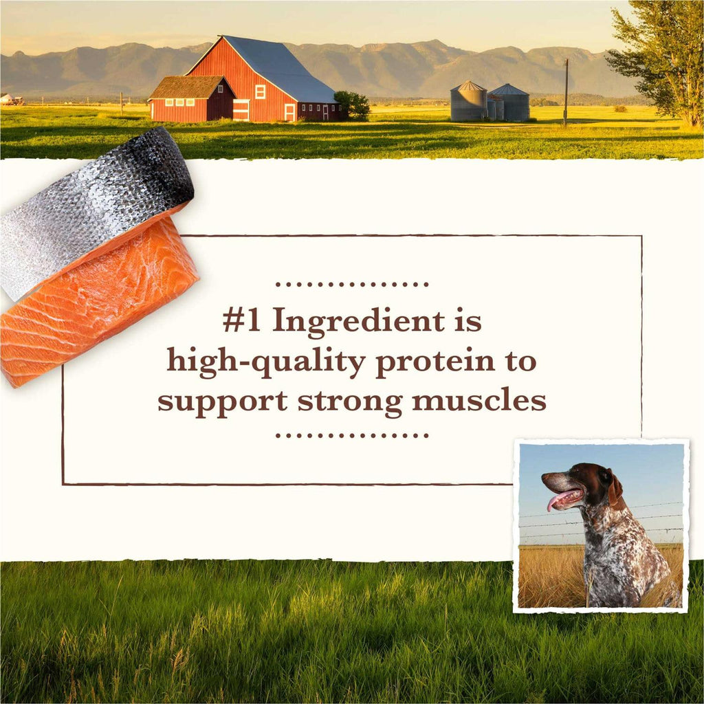 Grain Free Dry Dog Food Salmon & Whitefish Recipe N3139