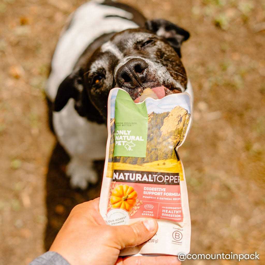 Dog Food Topper K769