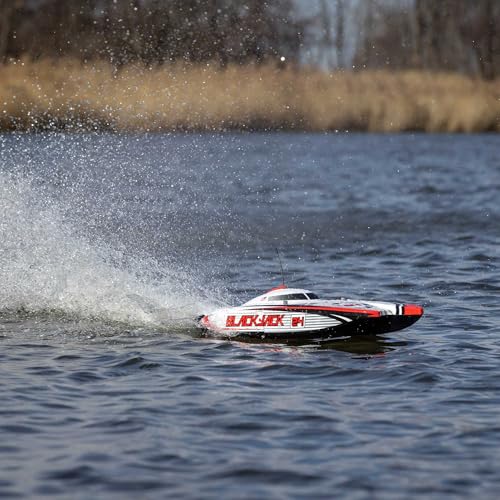 Blackjack 24" Catamaran Brushless RTR D523