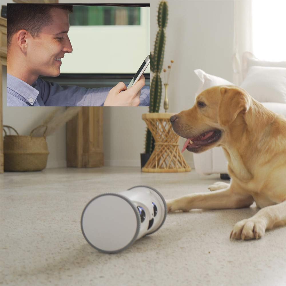Owl Robot Pet Camera with Treat Dispenser V14235