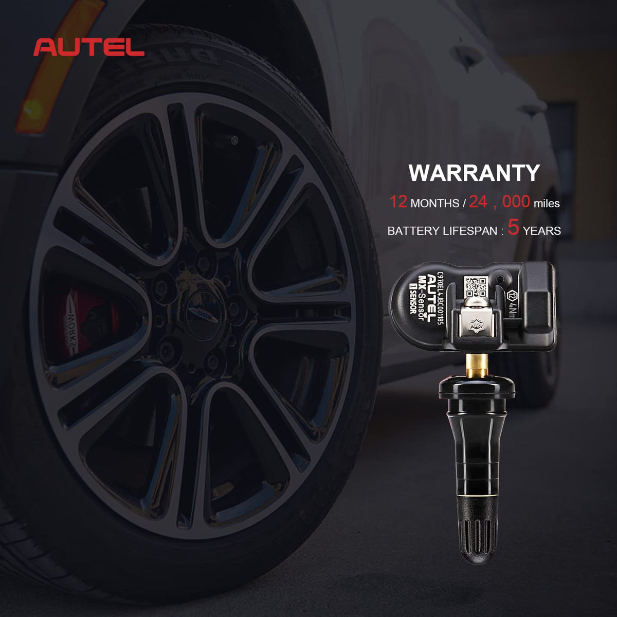 2 in 1 Dual Frequency Programmable TPMS Sensor Sets of 4 R835