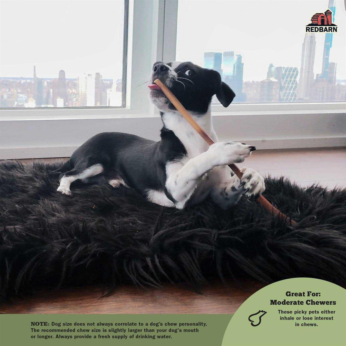Bully Stick P3301