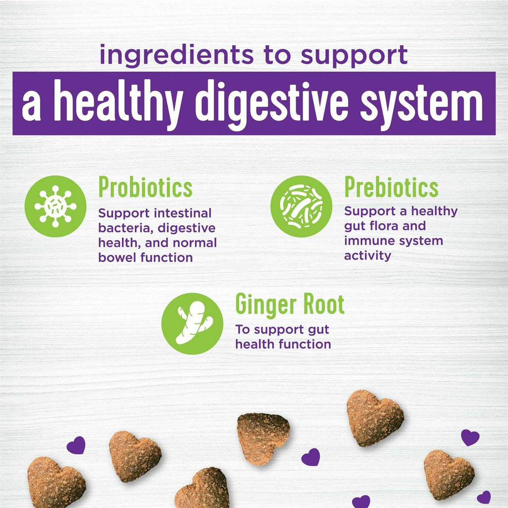 Pumpkin Flavored Soft Chew Digestive Health Supplements for Dogs D562