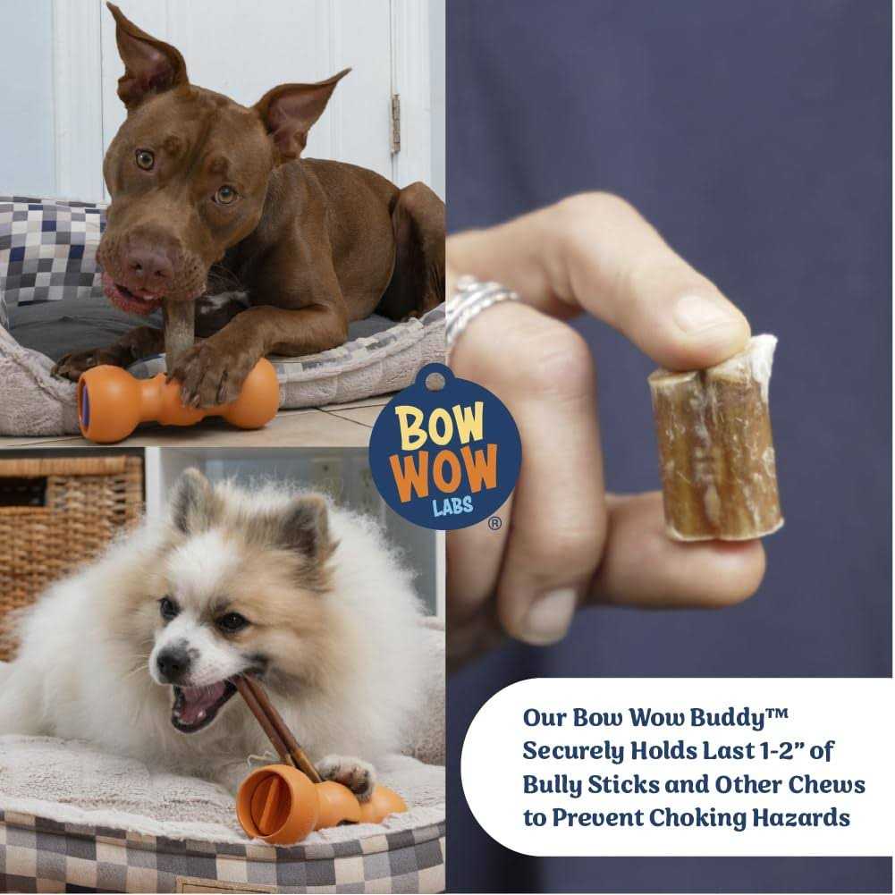 Bully Stick Holder for Dogs Starter Kit L642