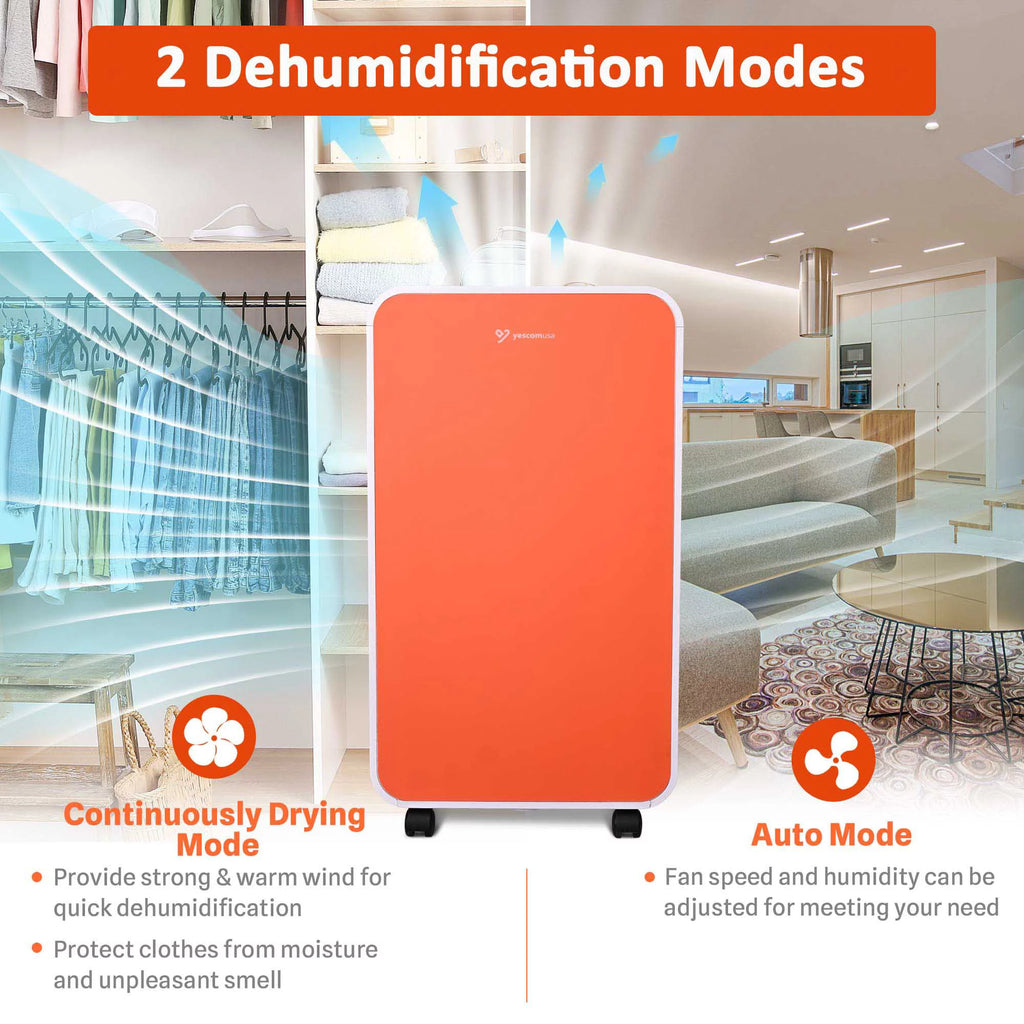 24 Pint Portable Dehumidifier with Drain Hose U424