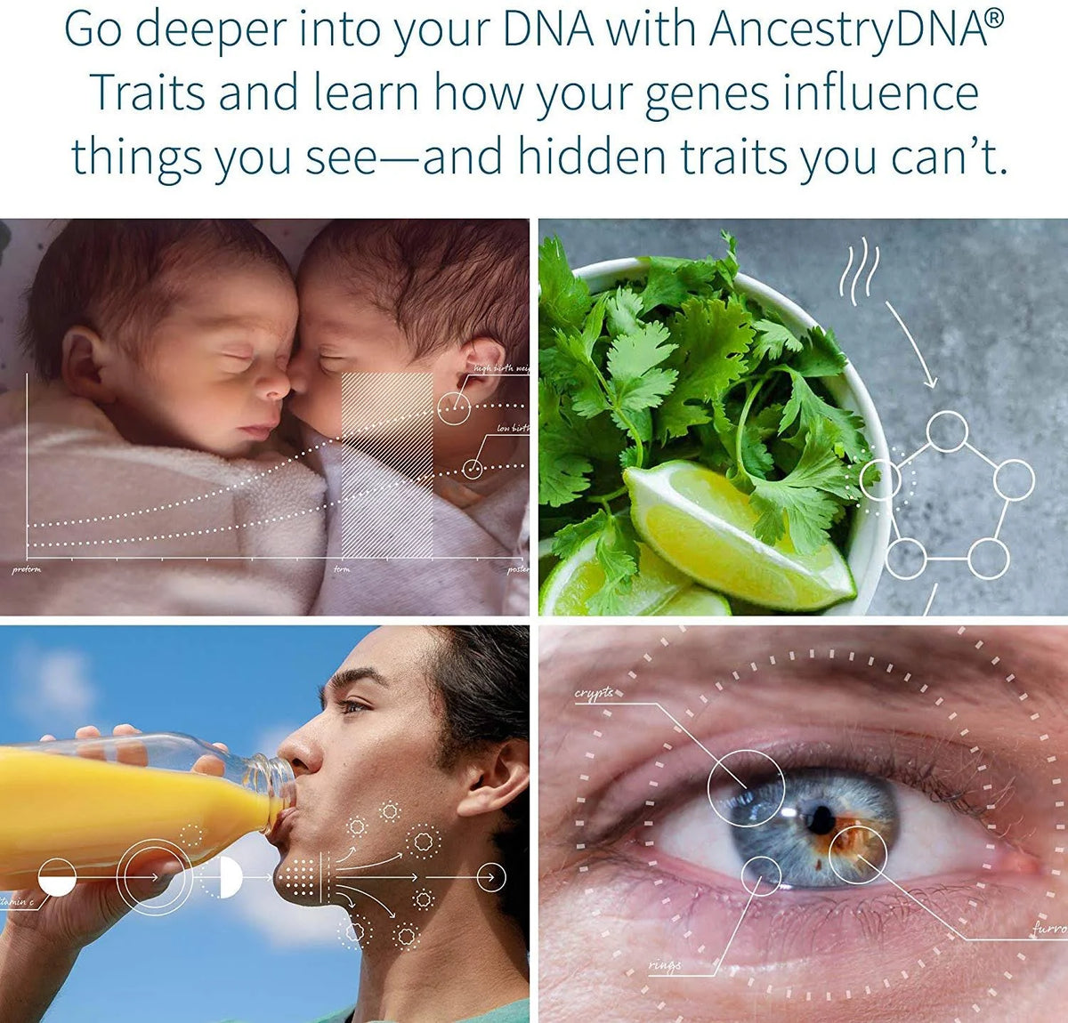 Genetic Ethnicity + Traits Test P152