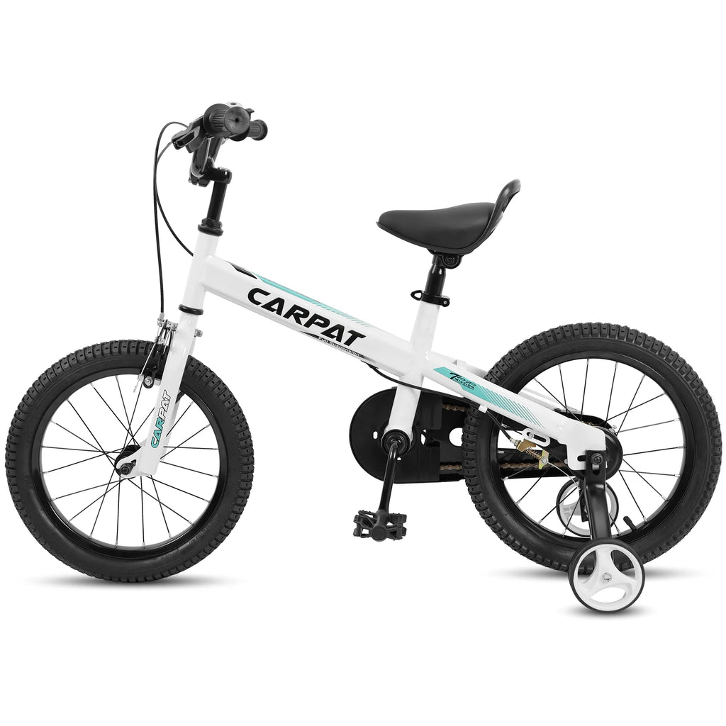 14 Inch Kids Bike with Training Wheels Z1871