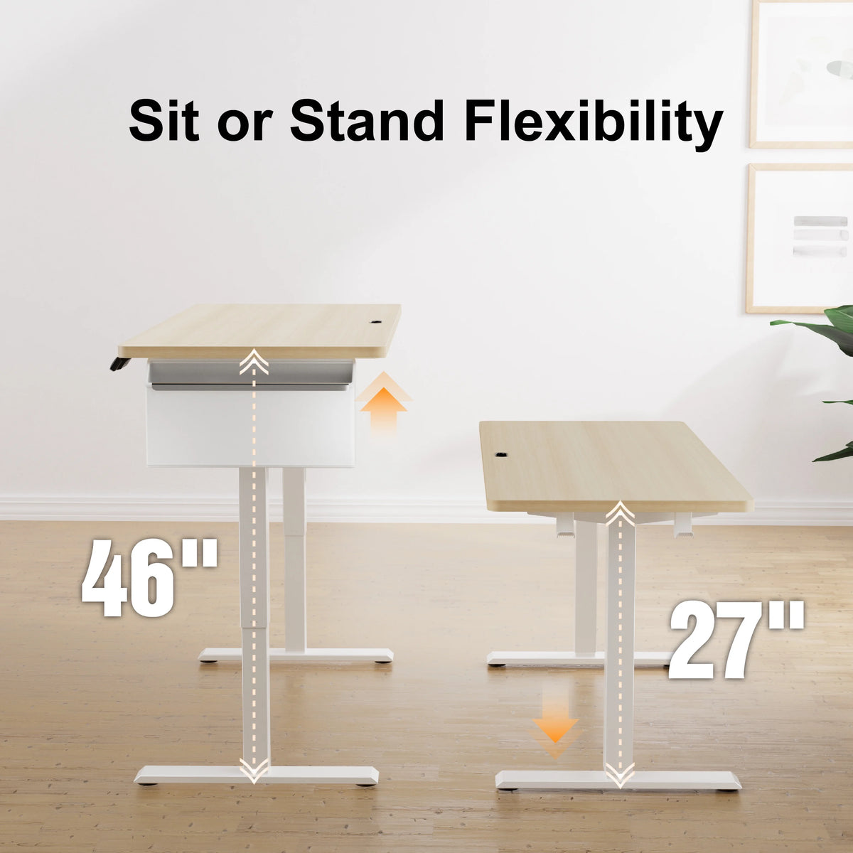 55" x 24" Height Adjustable Electric Standing Desk with Storage Pocket Z829851