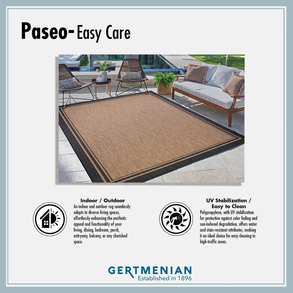 9x13 Outdoor Area Rug P7987