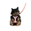 Harness & Leash Set G605111