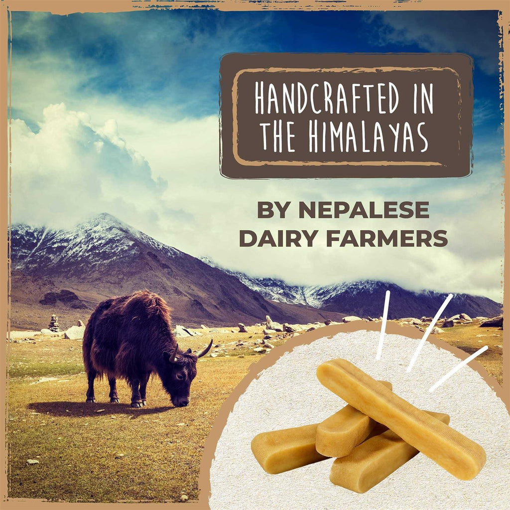 Yak Cheese Chews for Dogs All-Natural Long Lasting Pet Treats N240422
