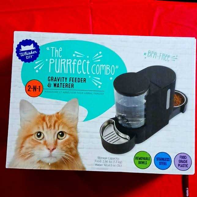 Black Cat Feeder T239102