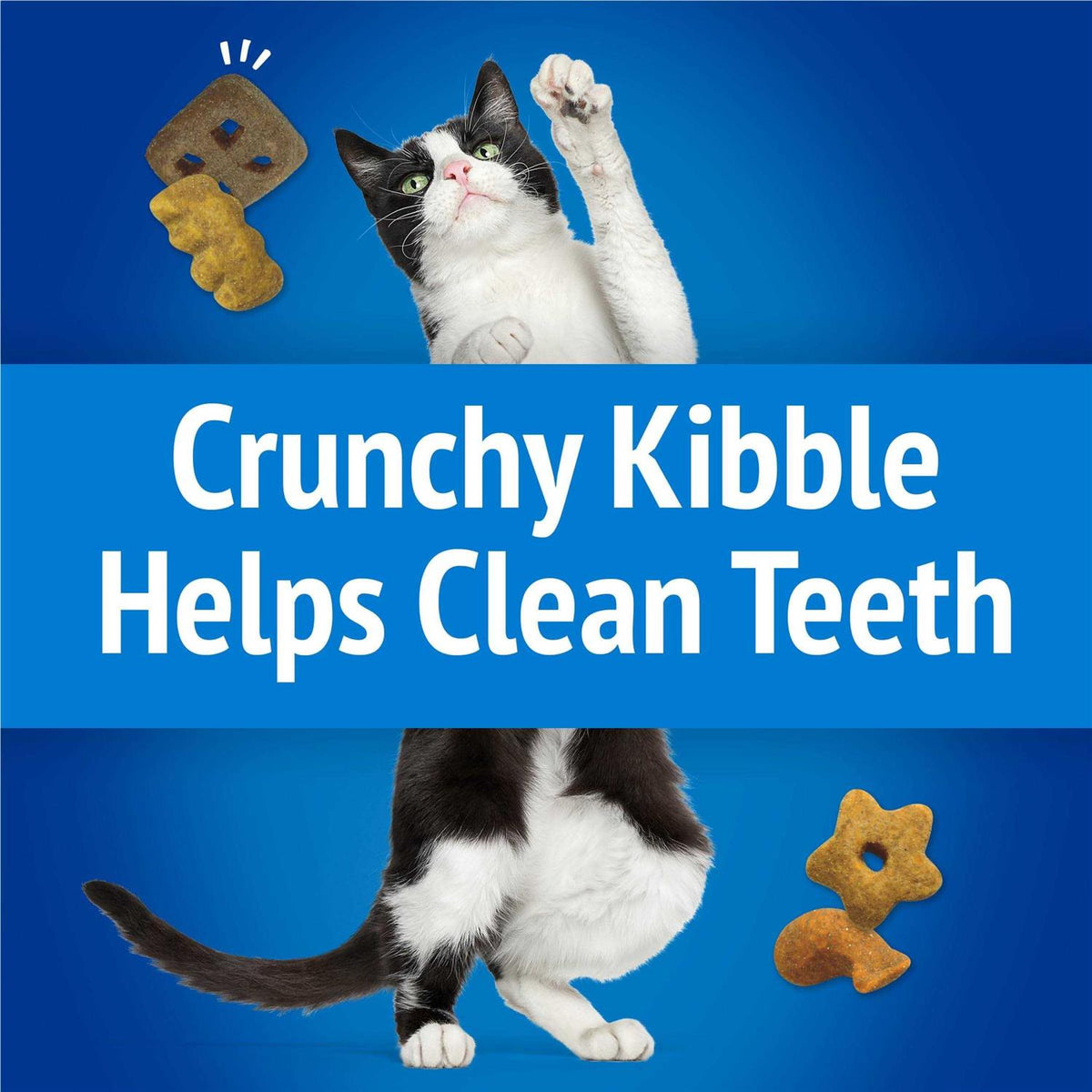Cat Treats Party Mix Crunch V946