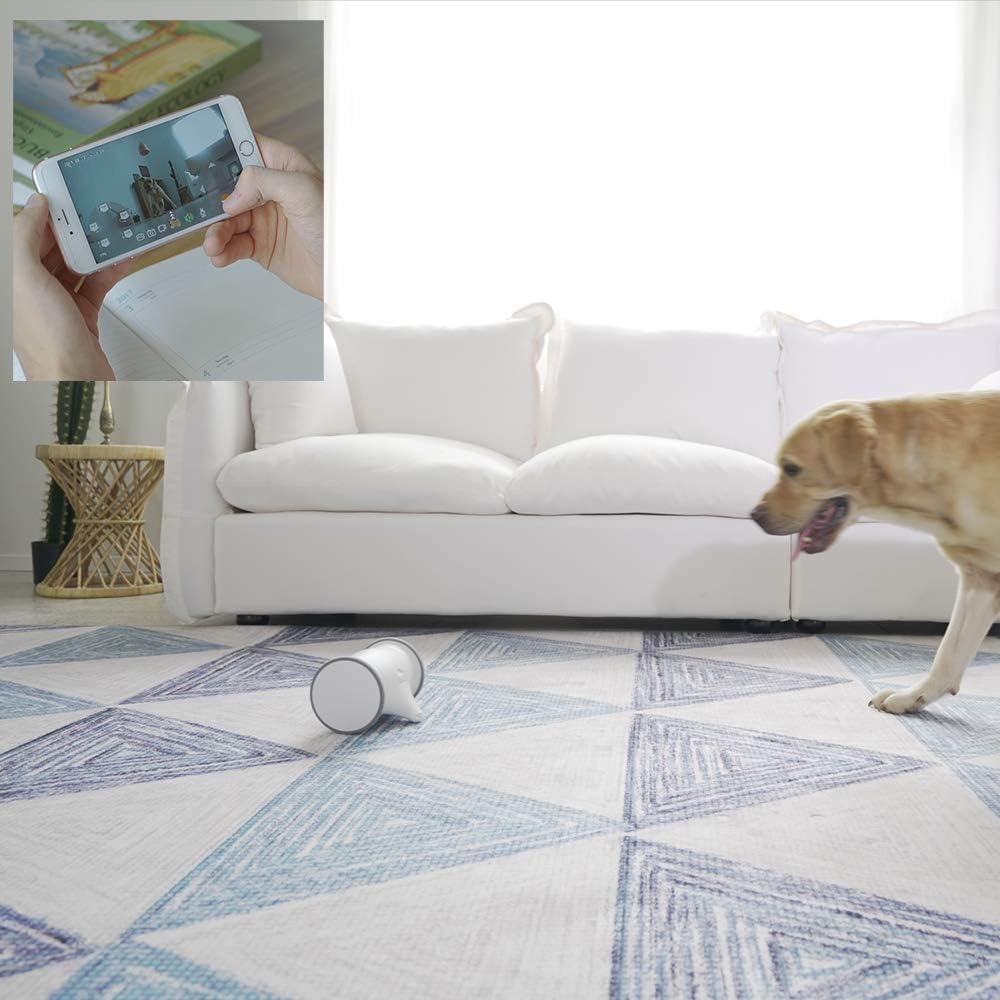 Owl Robot Pet Camera with Treat Dispenser V14235